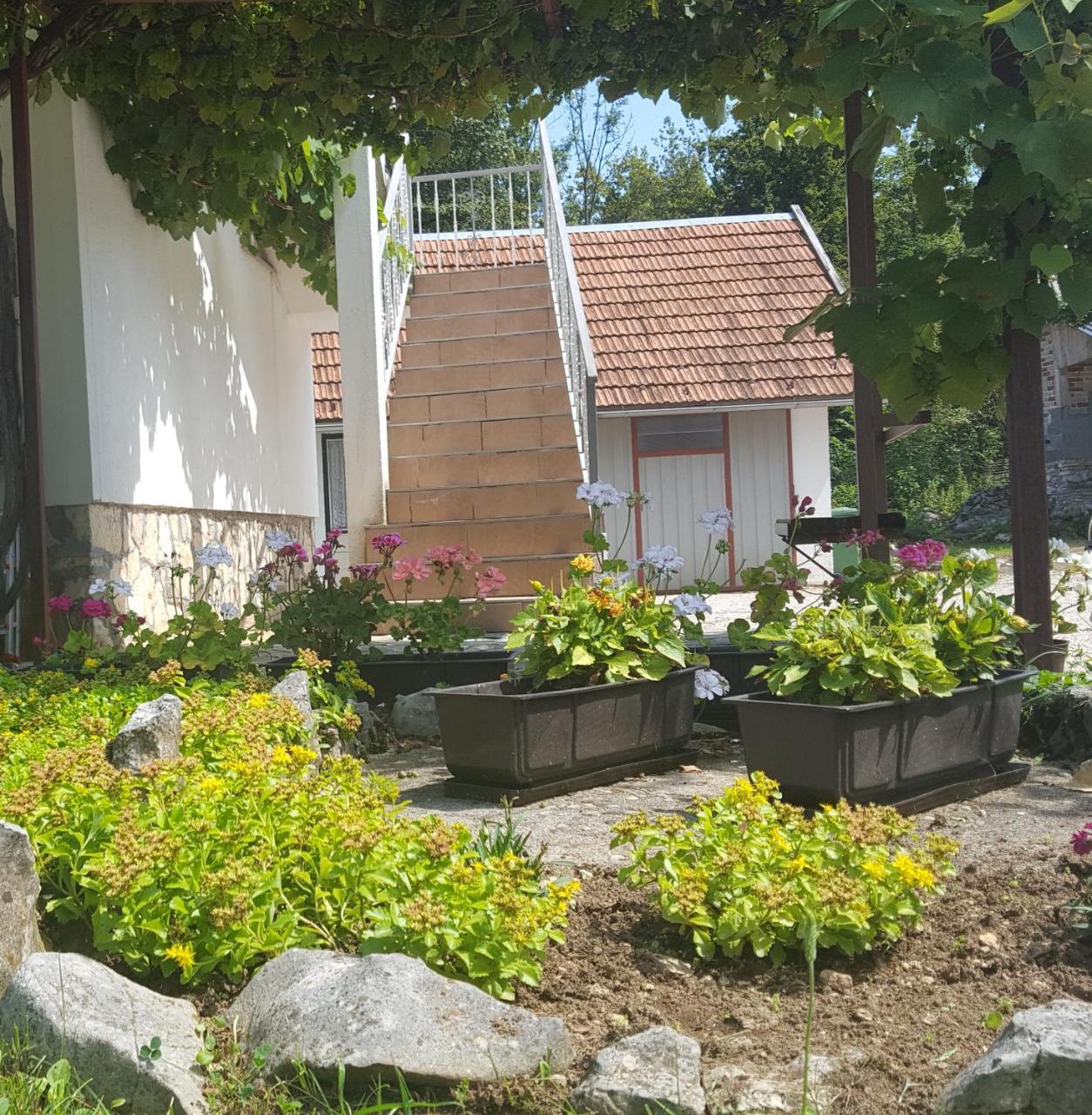 فندق House Luketic Rastovača المظهر الخارجي الصورة