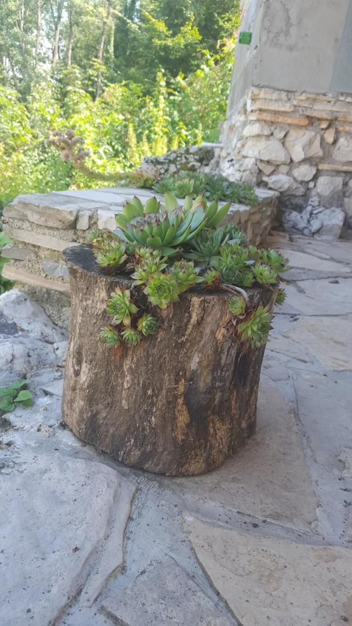 فندق House Luketic Rastovača المظهر الخارجي الصورة